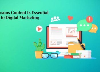 5 Reasons Content Is Essential to Digital Marketing