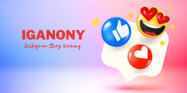 IGANONY The Best Tool for Instagram Story Viewing