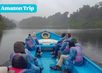 Amazon Trip A Journey into the Heart of the Jungle