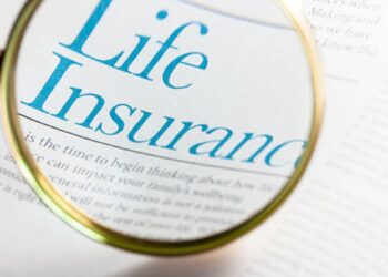 Navigating Risk: The Vital Role of a Non-Life Insurer