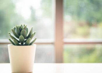 Flourishing Decor: 7 Creative Ways to Use Artificial Plants and Flowers in Your Home