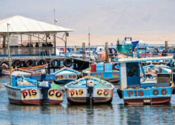 Exploring the Best Attractions and Tourism Market in Egypt’s Red Sea