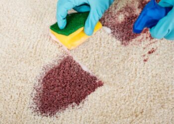 From Spill to Sparkle Wine Stain Removal Techniques for Carpets