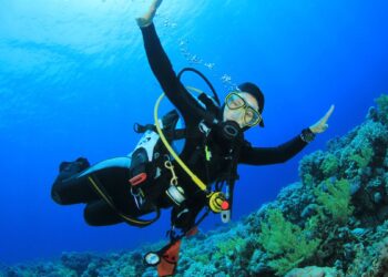 Exploring Underwater Beauty: Egypt Scuba Diving Courses