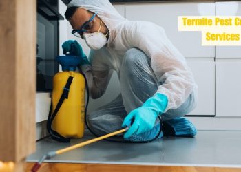 Effective Termite Pest Control Services: Protecting Your Home and Investment