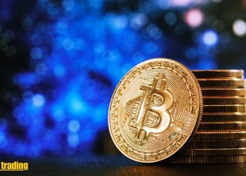 Image source: https://www.canva.com/