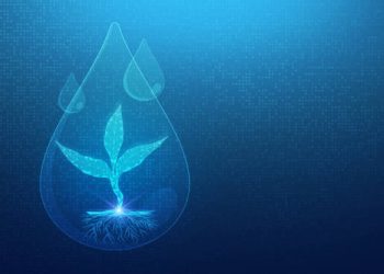 Sustainable Irrigation: Key to Efficient Water Management in Landscaping