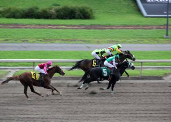 The Best Betting Sites for Horse Racing in Ireland