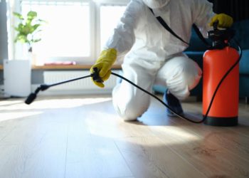 How Long Does Pest Control Last?