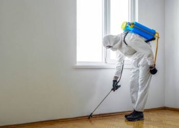 Pest Control in Dubai: Your Shield Against Unwanted Guests