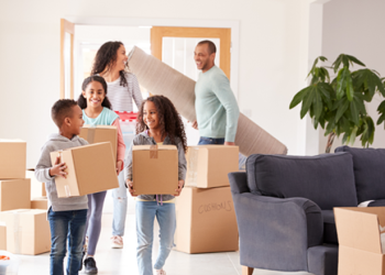 Safe Ship Moving Services
