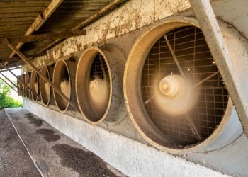 Why Evaporative Cooling is a Smart Choice for Melbourne Homes