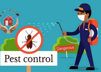 Pest Control