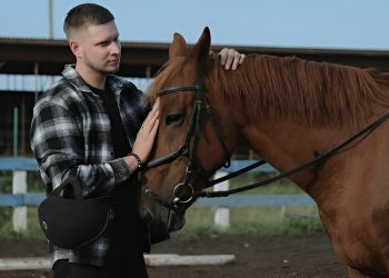 horse riding shirts australia