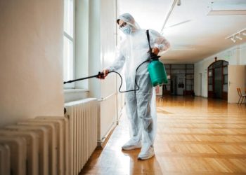 Silverfish: The Book Lovers You Don’t Want in Your House