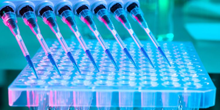 pharmacokinetics assay