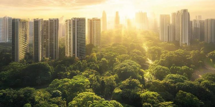 Pinery Residences Condo