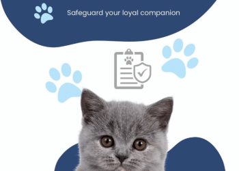 rental insurance Bridgeport CT