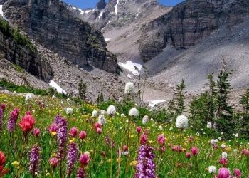 Is Your Home Truly Safe? The Ultimate Guide to Radon Experts in Fort Collins, CO