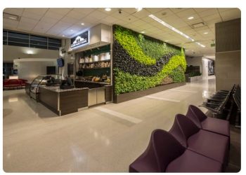 Expert Guide to Commercial and Hot Tub Electrical Services in Dearborn