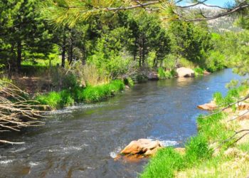 Ultimate Guide to Finding the Best Estes Park Hotels Colorado and Mountain Lodges