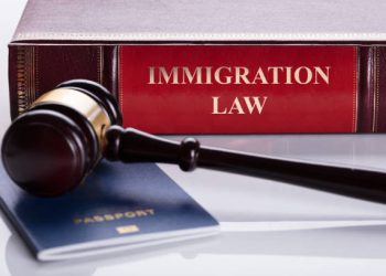 Why Immigration Cases Sometimes Move Slowly—and What It Means for Detention